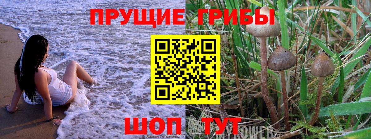 Псилоцибиновые грибы Cubensis Волгодонск